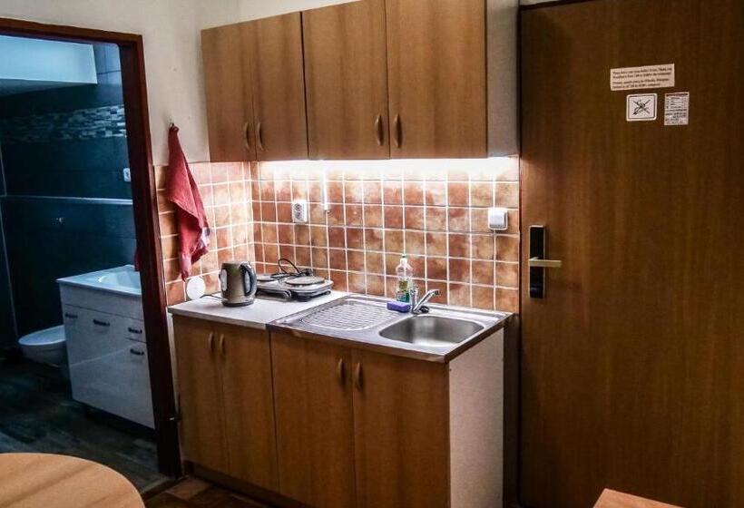 Люкс, Penzion Na Hradbách