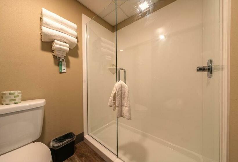 스탠다드 스튜디오, Cobblestone Inn & Suites  Trenton