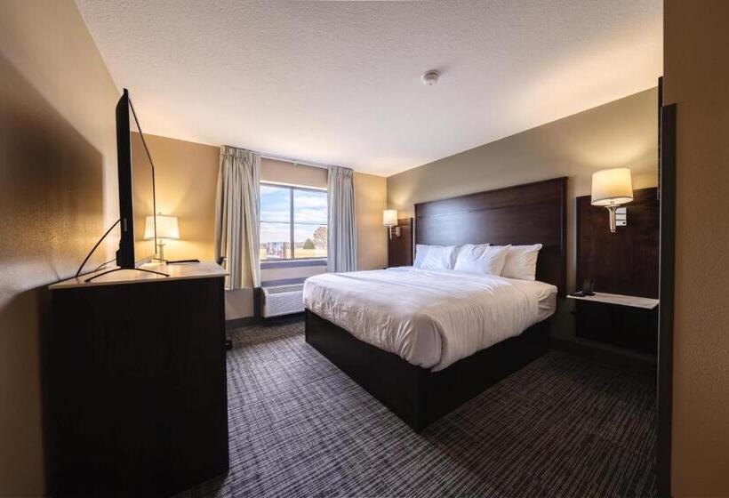 스탠다드 룸 킹사이즈 침대, Cobblestone Inn & Suites  Trenton