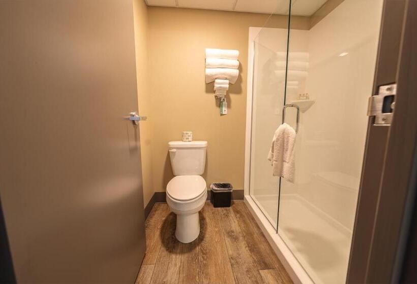 스탠다드 룸, Cobblestone Inn & Suites  Trenton