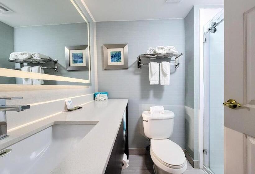 이그제큐티브 스위트, Holiday Inn   Belcamp   Aberdeen Area, An Ihg