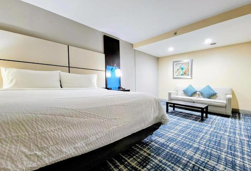 이그제큐티브 스위트, Holiday Inn   Belcamp   Aberdeen Area, An Ihg