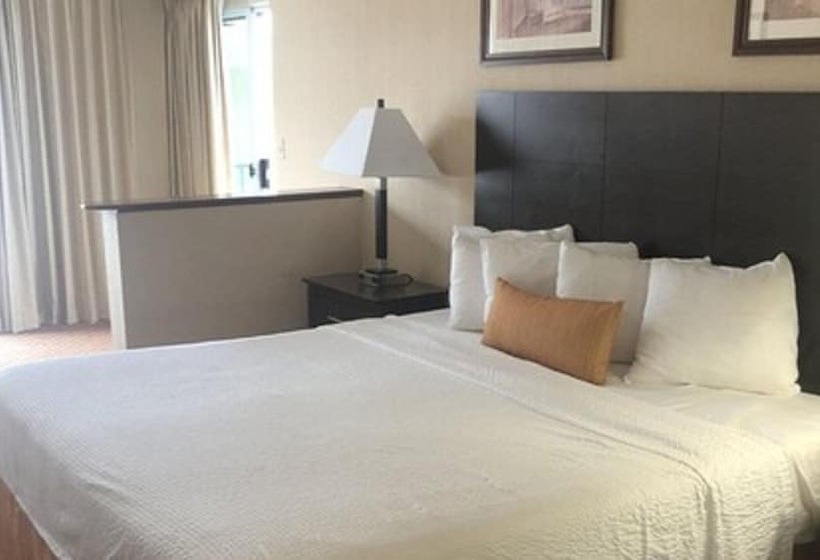 اتاق استاندارد با تخت بزرگ, Princess Bayside Beach