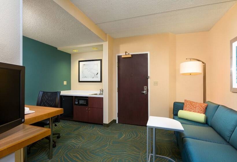 Люкс, Springhill Suites Austin South