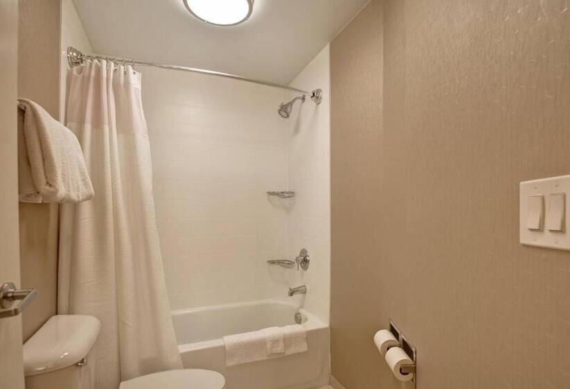 Люкс Кровать Кинг, Springhill Suites Lexington Near The University Of Kentucky