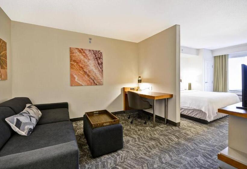 Люкс Кровать Кинг, Springhill Suites Lexington Near The University Of Kentucky