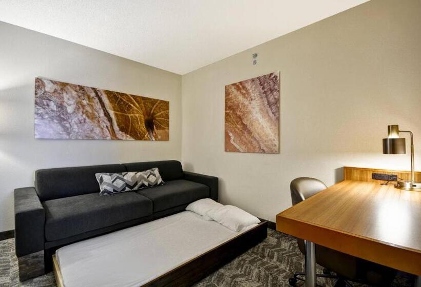 Люкс, Springhill Suites Lexington Near The University Of Kentucky