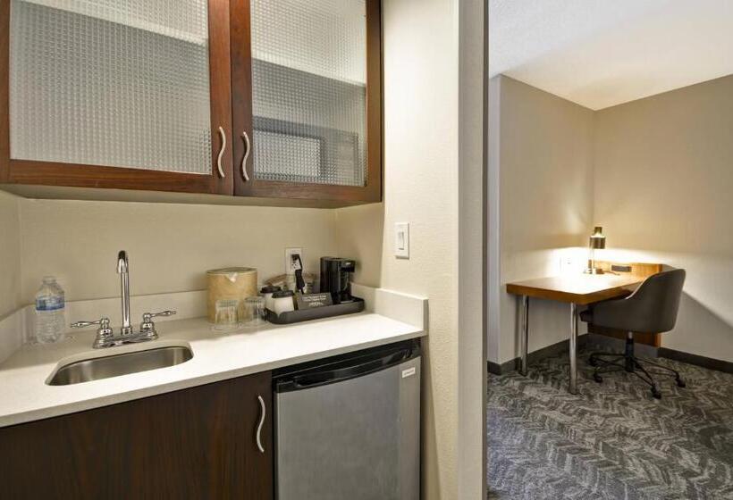 Номер Superior, Springhill Suites Lexington Near The University Of Kentucky