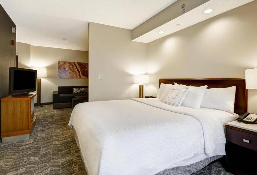 Люкс Адаптированный для Инвалидов, Springhill Suites Lexington Near The University Of Kentucky