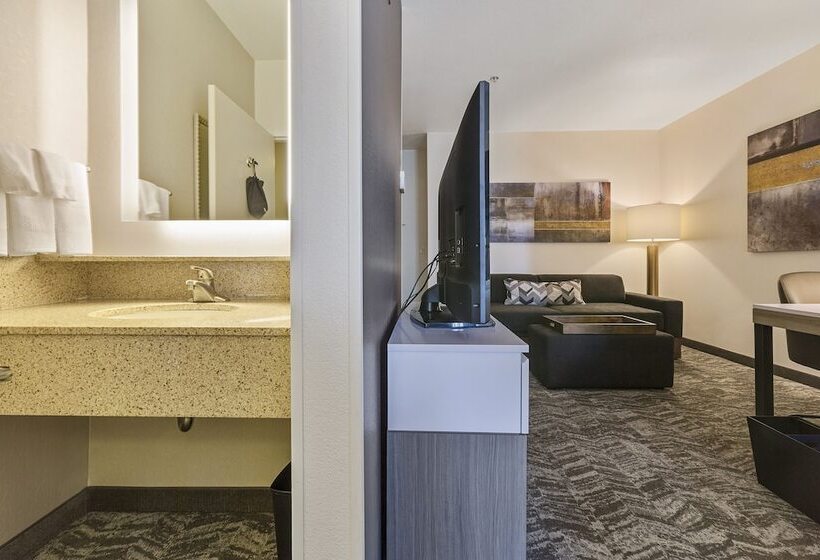 套房, Springhill Suites By Marriott Sacramento Natomas