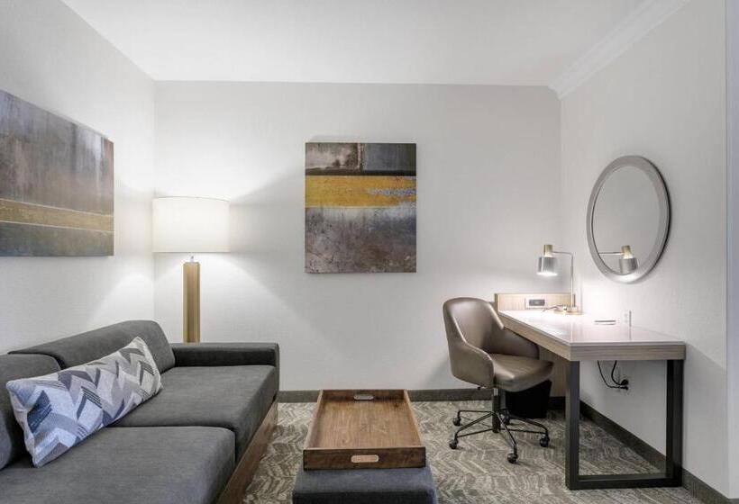 带大床的套房, Springhill Suites By Marriott Sacramento Natomas