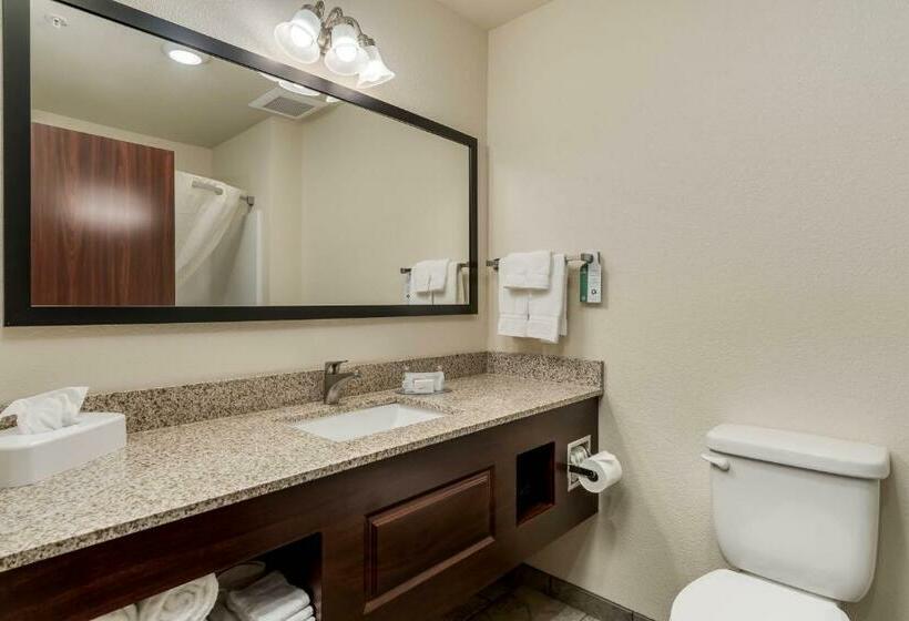 Номер Стандарт, Comfort Inn & Suites Morgan