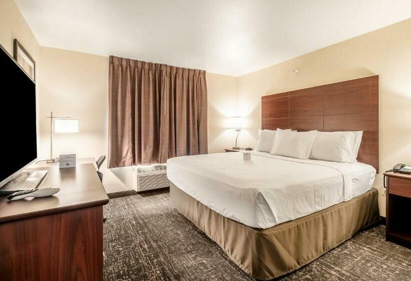 Студия Стандарт, Comfort Inn & Suites Morgan