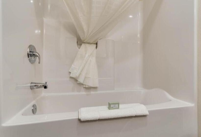 Люкс, Comfort Inn & Suites Morgan