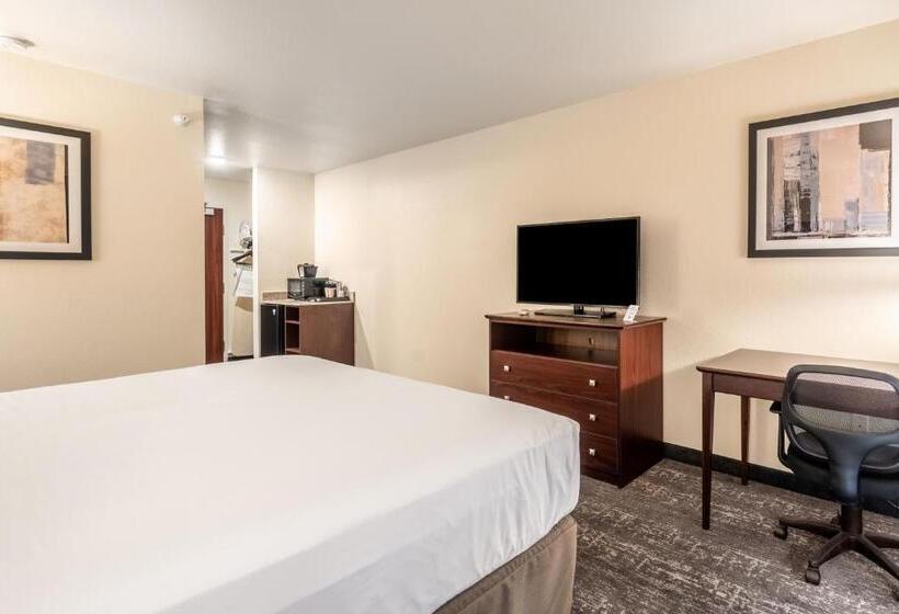 Студио Стандарт Кровать Кинг, Comfort Inn & Suites Morgan