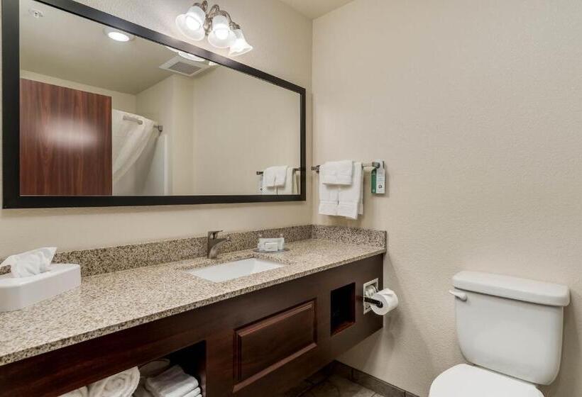 Студия Стандарт, Comfort Inn & Suites Morgan