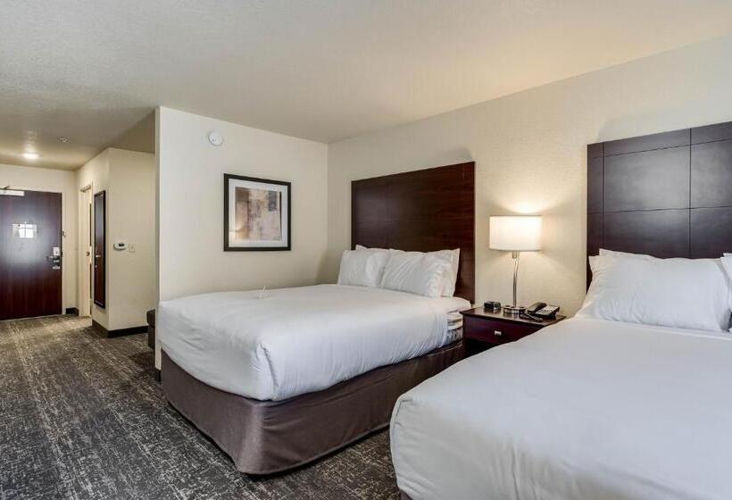 Студия Стандарт, Comfort Inn & Suites Morgan