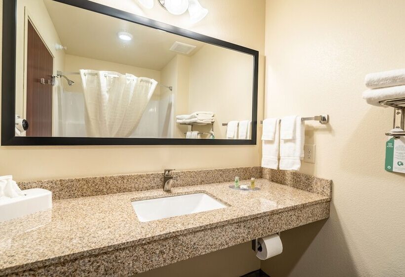 Люкс, Comfort Inn & Suites Morgan