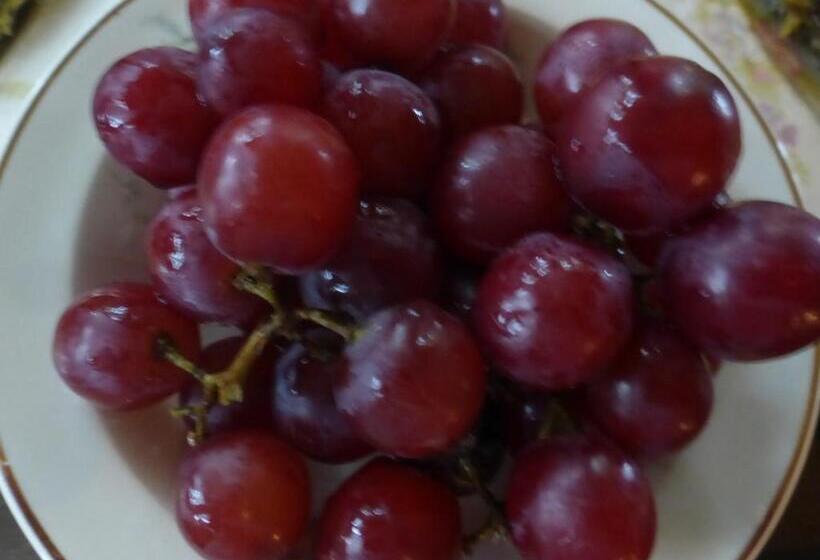四人标准间, Mulberry Lavender Farm And B&b