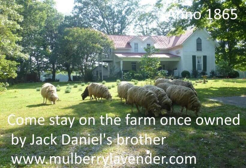 四人标准间, Mulberry Lavender Farm And B&b