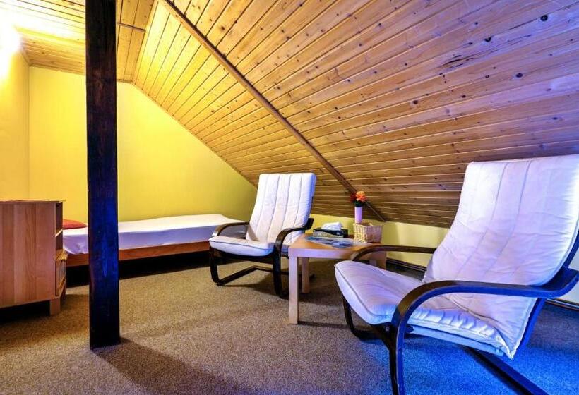 标准三人间, Wellness Penzion Stonozka