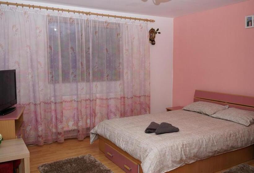 Номер Стандарт, Popasul Găleșean