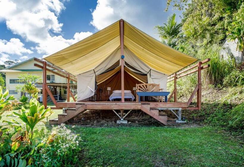 Standard Tent, Waipi O Lodge
