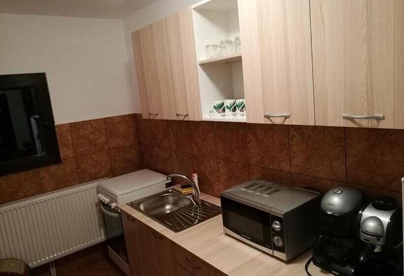 اتاق استاندارد, Pensiunea ,,suciu