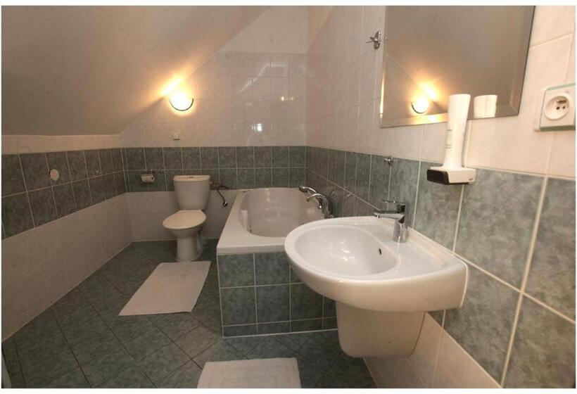 اتاق استاندارد با تخت بزرگ, Restaurant Penzion U Buchlovskeho Zamku