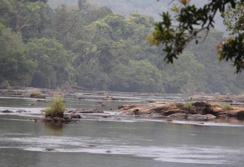 디럭스 룸, Athirapally Green Trees