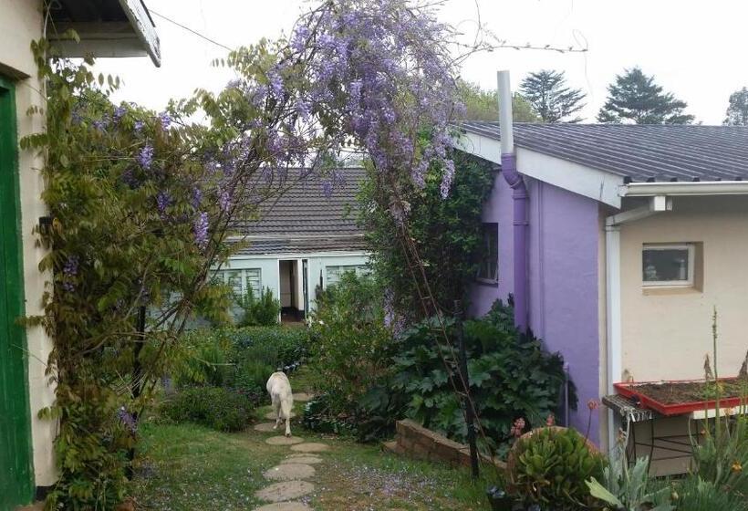 Номер Стандарт, Wild Berry Guest Farm