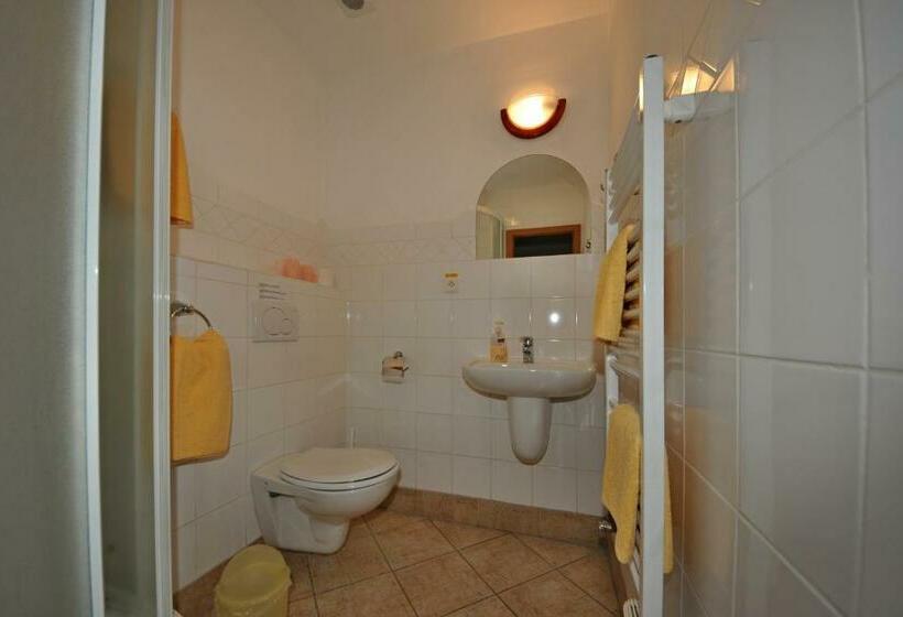 غرفة قياسية, Penzion Praktik Krumlov
