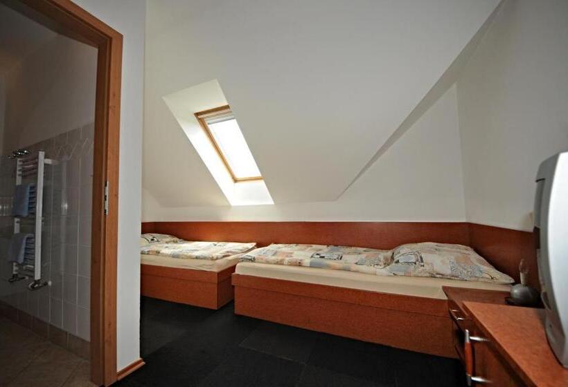 غرفة قياسية, Penzion Praktik Krumlov