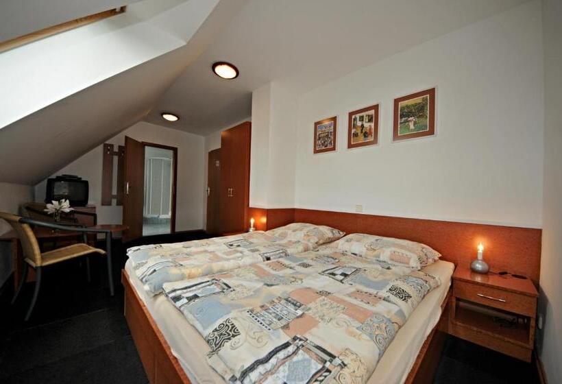 غرفة قياسية, Penzion Praktik Krumlov