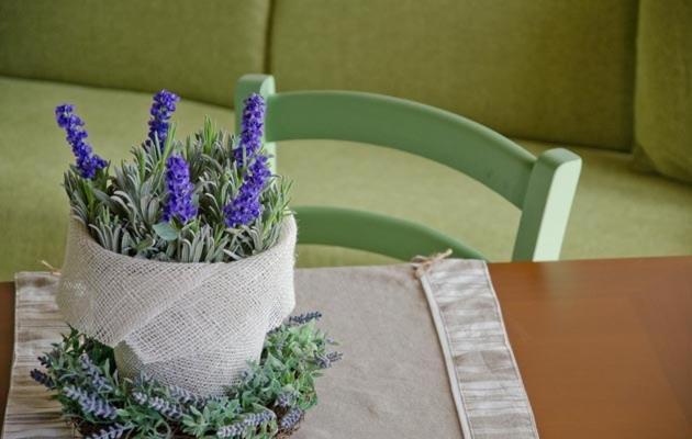 带1个卧室的公寓, Agriturismo La Perla