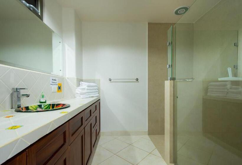 Апартаменты 1 Спальня, Lake Arenal Condos