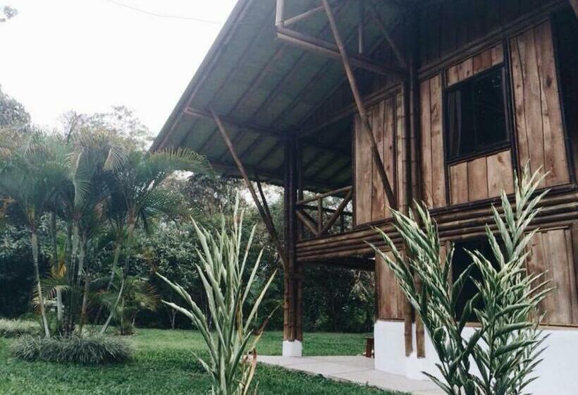 Трехместный Номер Superior, Albergue De Montaña Talari