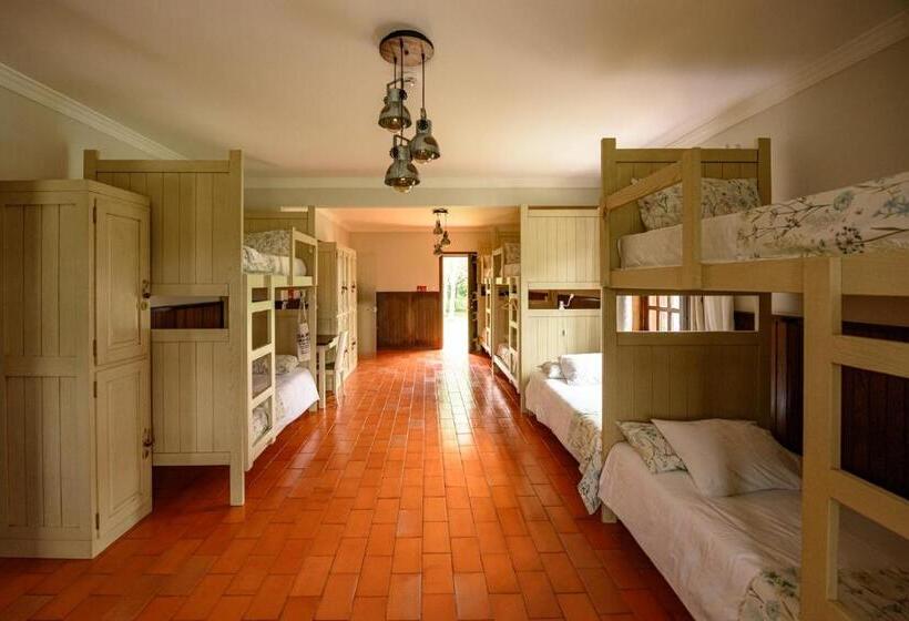 Кровать в Общей Комнате, Greenside Of Sea Hostel