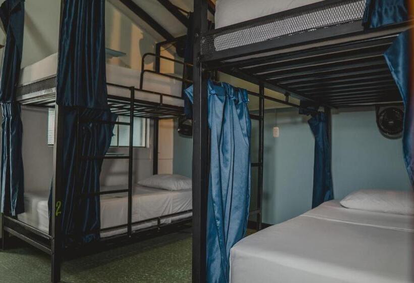 Кровать в Общей Комнате, Traveler Hostel