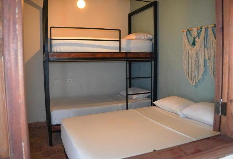 בקתת סופריור בת חדר 1, Traveler Hostel