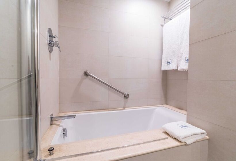 スタンダードトリプルルーム, Eurostars Zona Rosa Suites