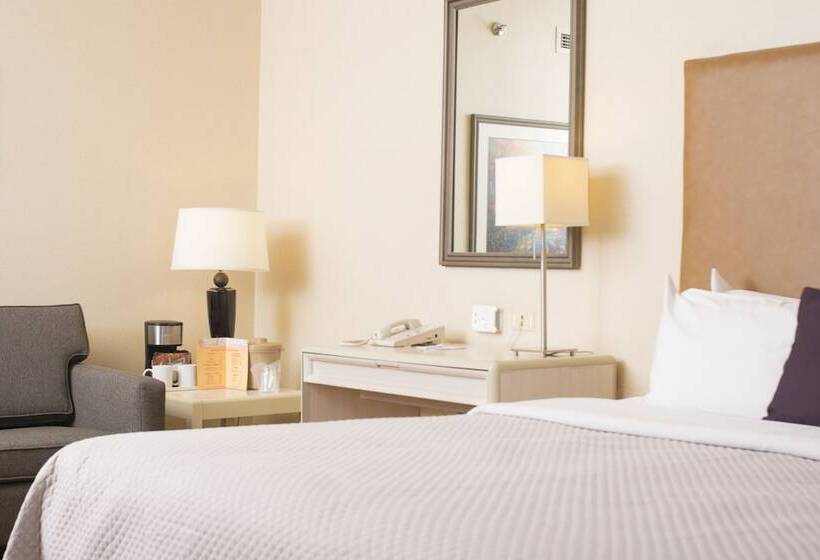 スタンダードルーム, Istay Hotel Ciudad Juarez