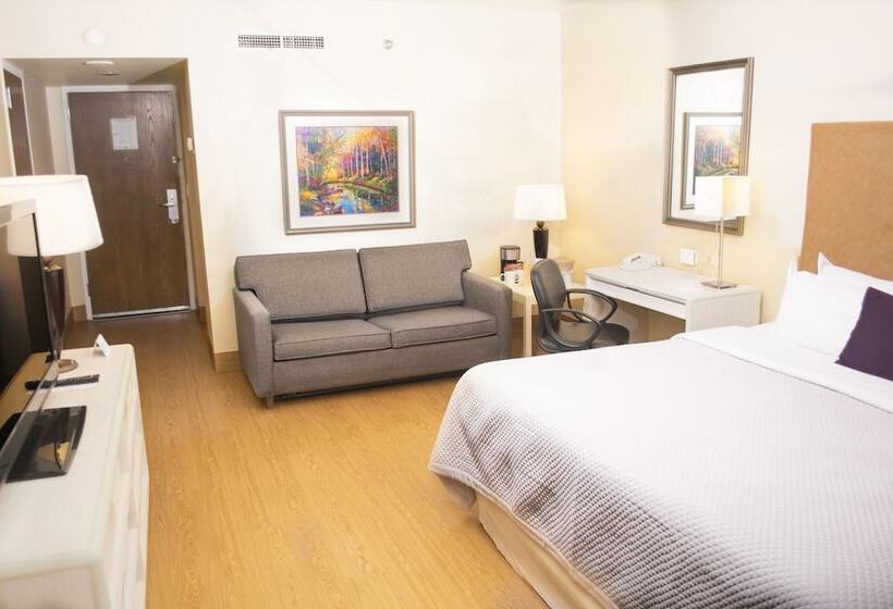 デラックスルーム, Istay Hotel Ciudad Juarez