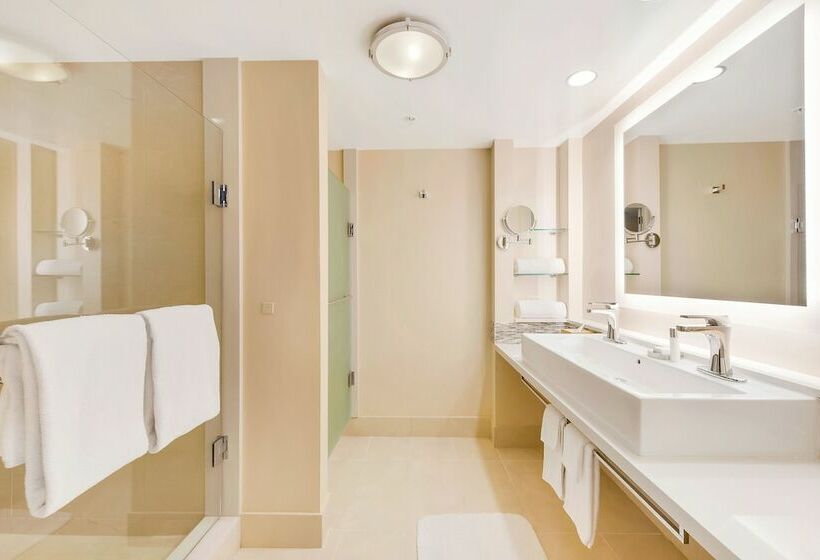 高级客房, Eden Roc Miami Beach