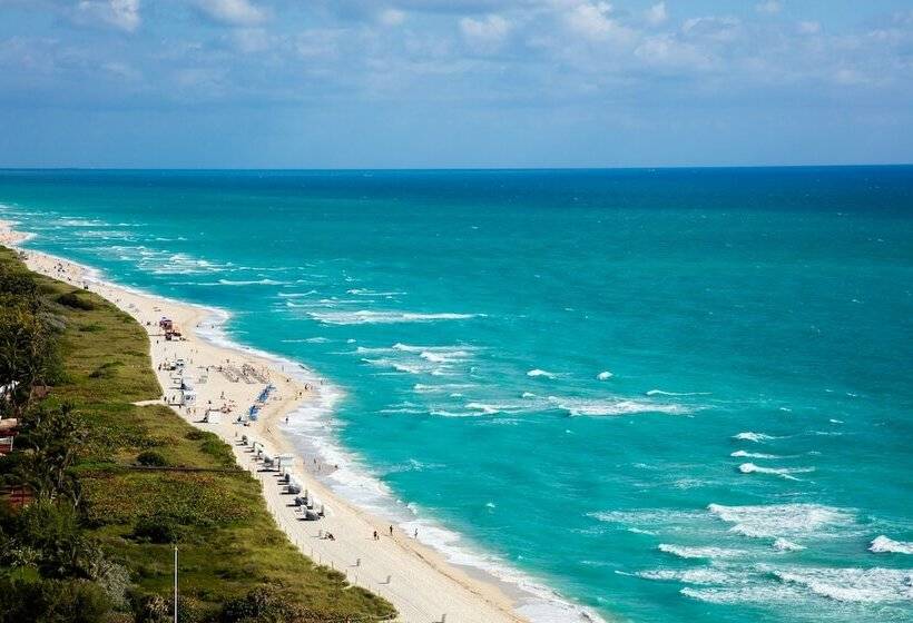 小型套房带海景, Eden Roc Miami Beach