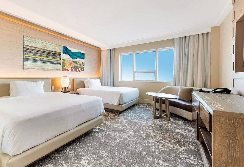 高级套房, Eden Roc Miami Beach