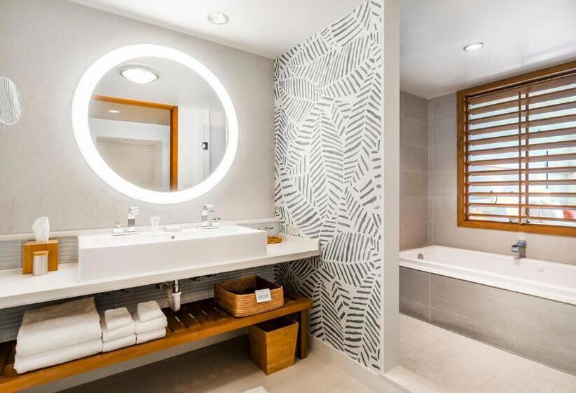 小型套房带海景, Eden Roc Miami Beach