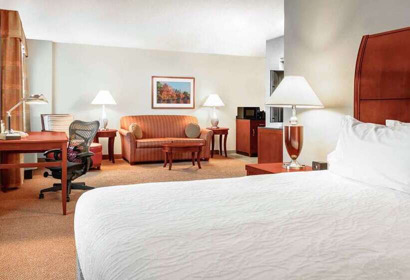 Полулюкс Кровать Кинг, Hilton Miami Downtown