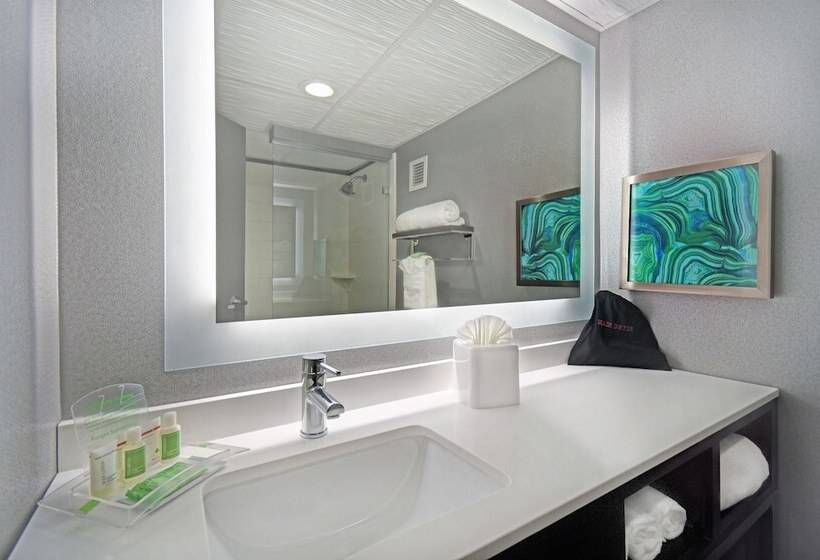 ２ダブルベッドのスタンダードルーム, Holiday Inn   Memphis Downtown   Beale St., An Ihg