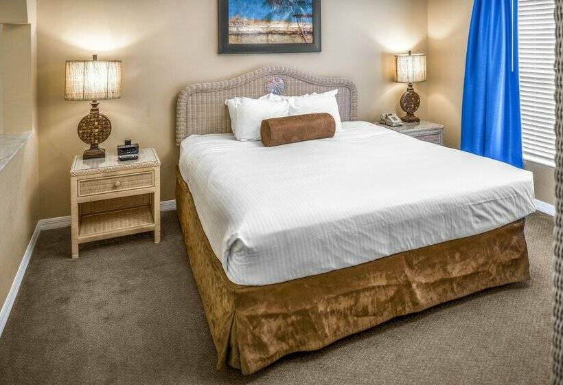 Апартаменты 1 Спальня, Hilton Vacation Club Aqua Sol Orlando West